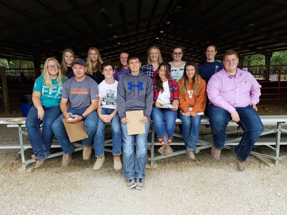 Shelbyville FFA Competes At Section 19 Horse Judging